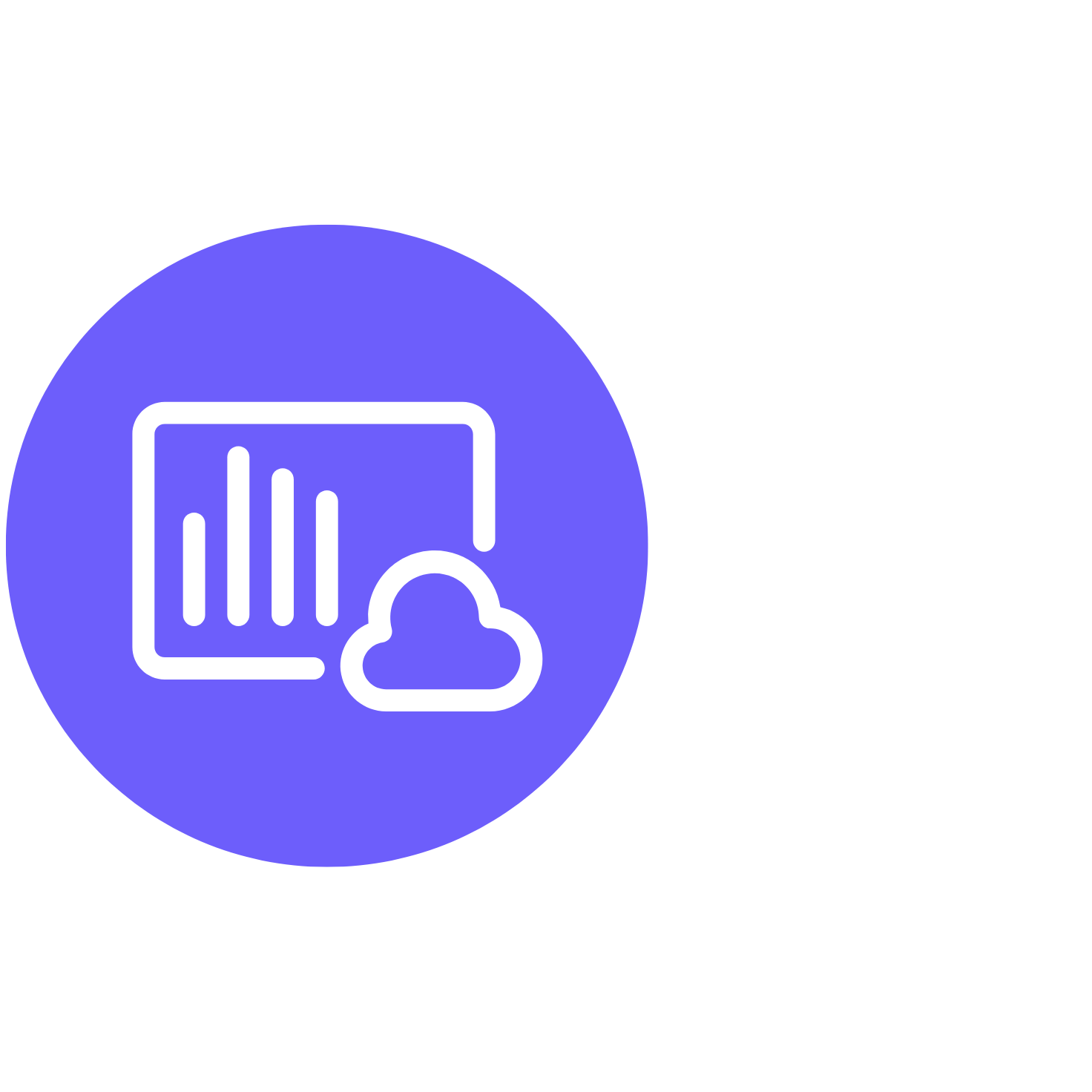 BI ERP